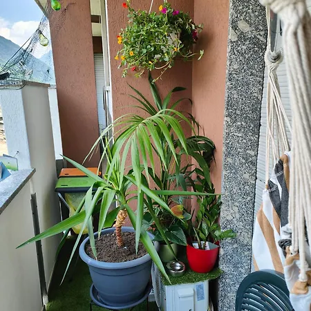 Apartmán Alfiume B *